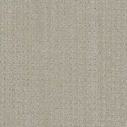 Emerson in Chevoit Carpet