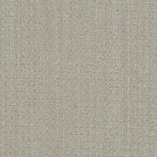 Emerson in Chevoit Carpet
