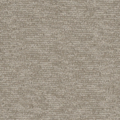 Natural Appeal in Skipping Carpet