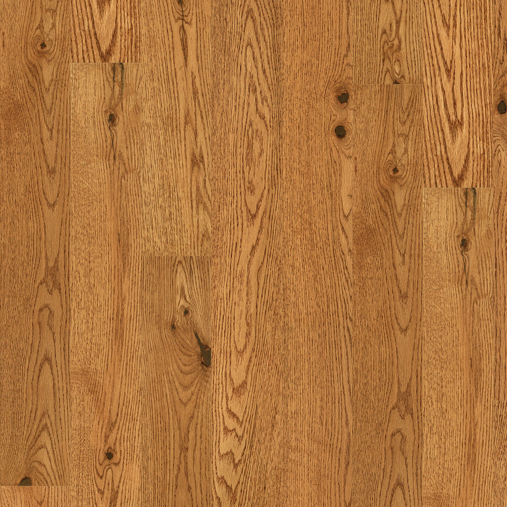 Lineage Oak 5"