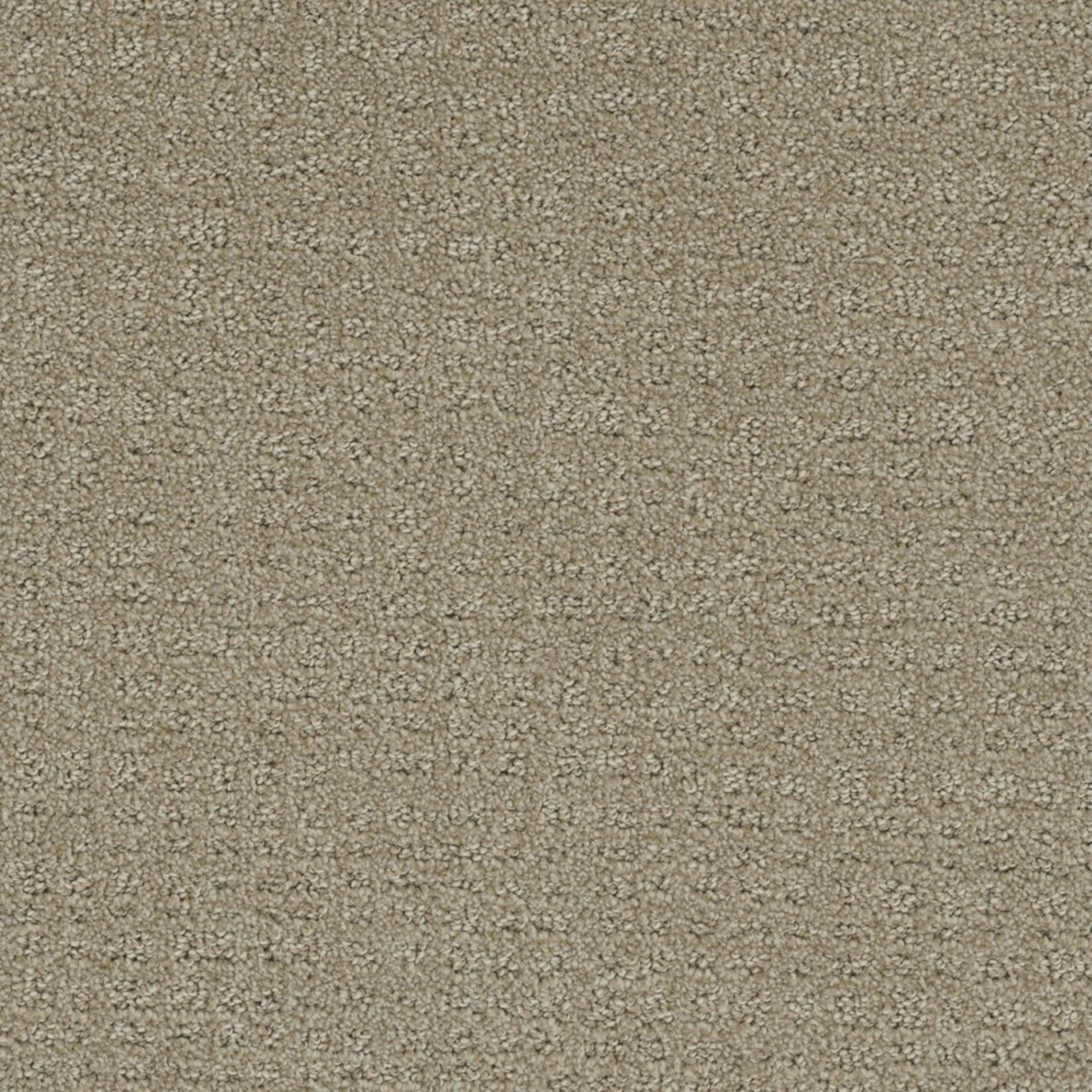 Step By Step in Fieldcrest Carpet