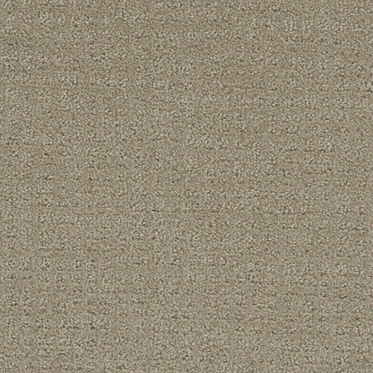 Step By Step in Fieldcrest Carpet