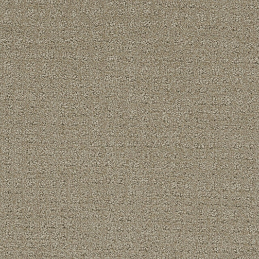 Step By Step in Fieldcrest Carpet