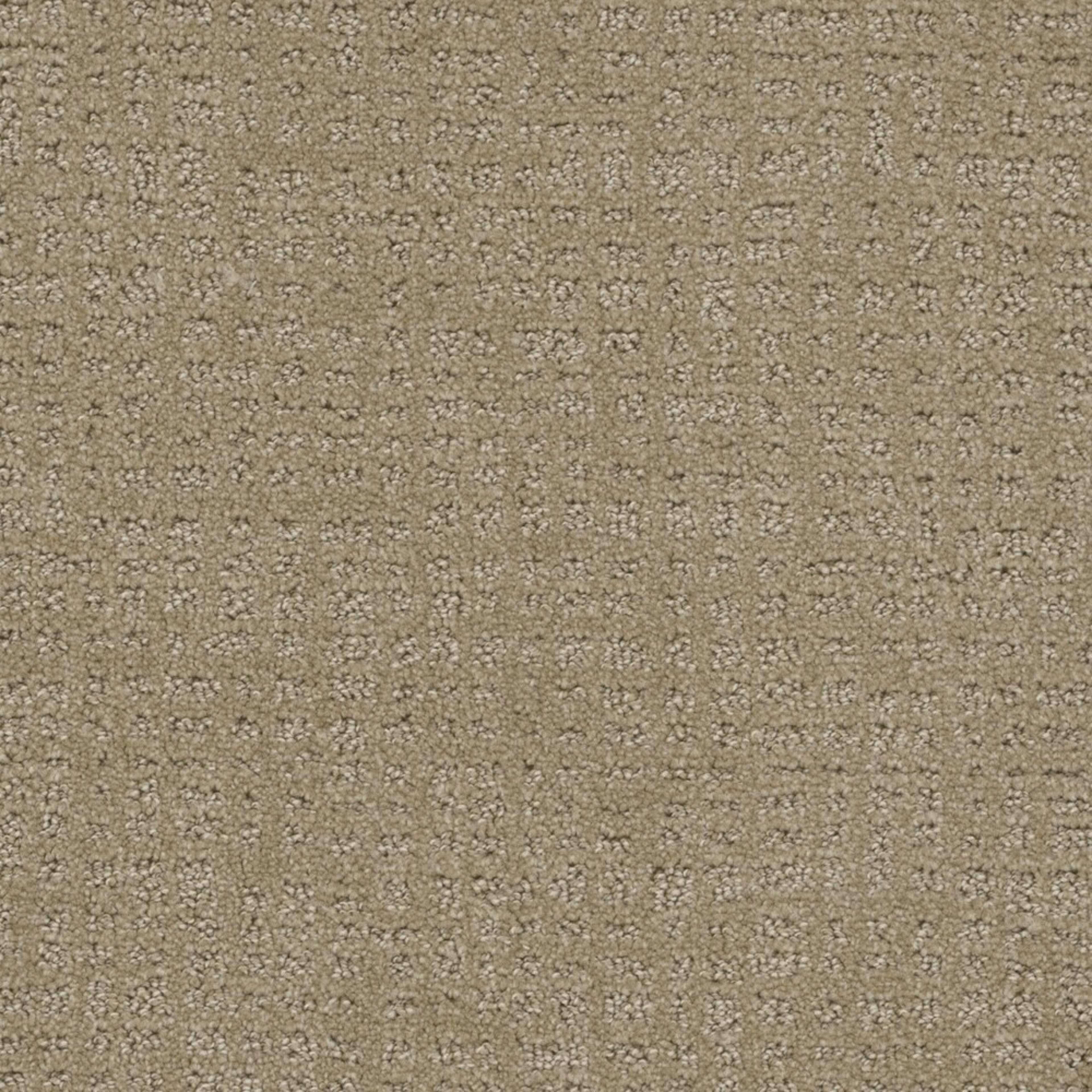 In Style in Warm Sand Carpet