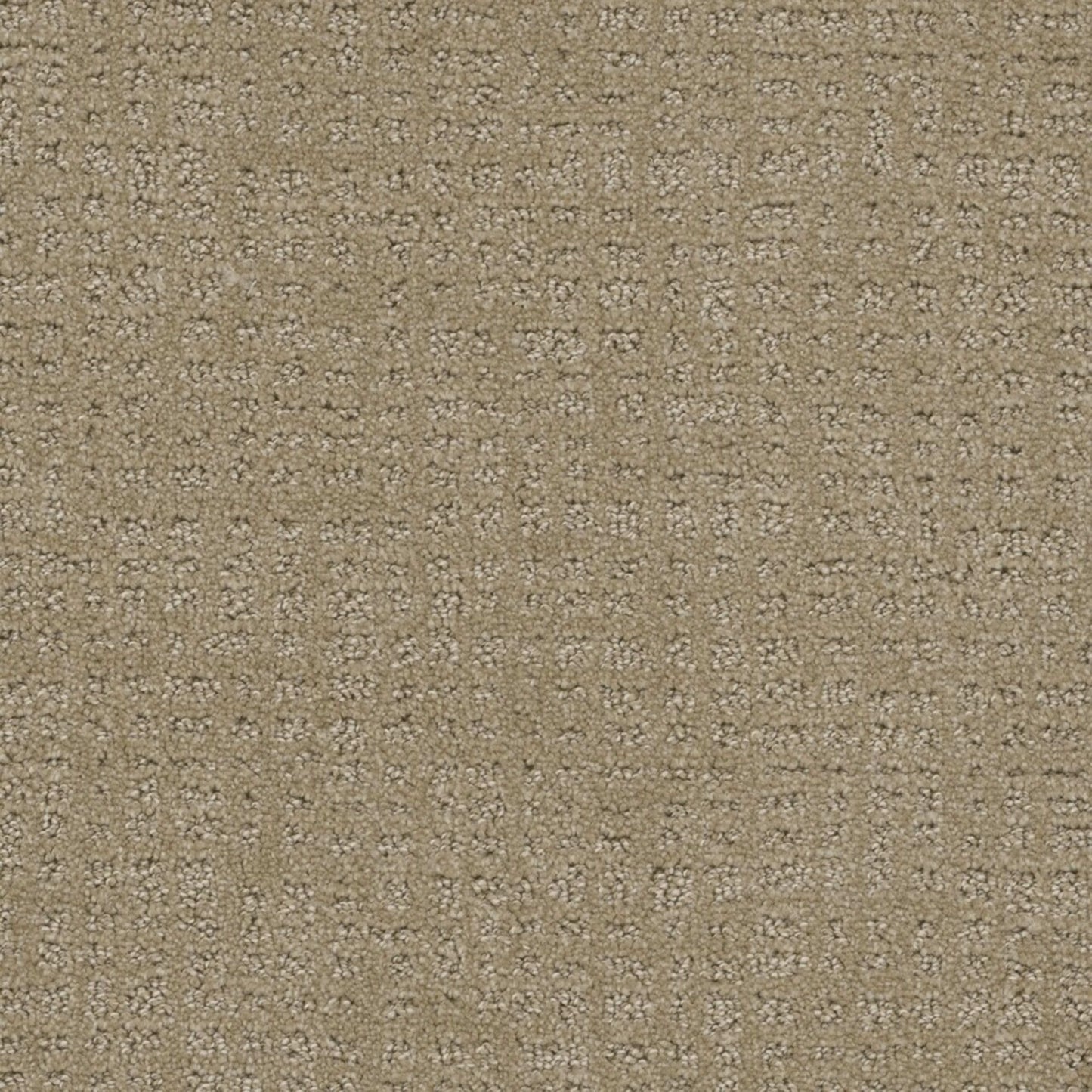 In Style in Warm Sand Carpet