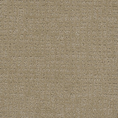 In Style in Warm Sand Carpet