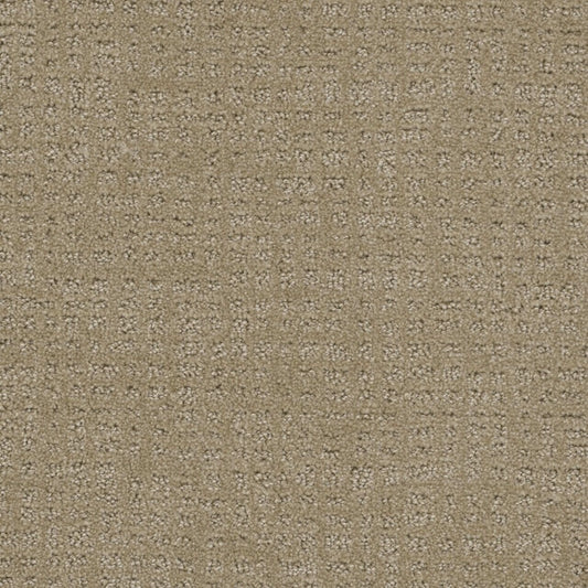 In Style in Warm Sand Carpet