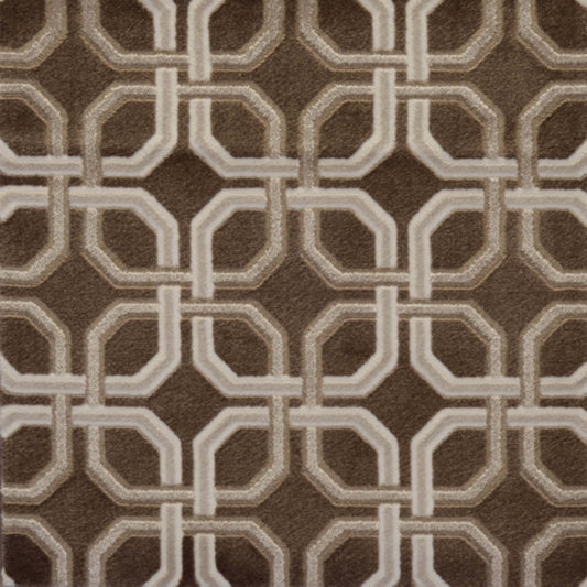 Zaria in Guardian Carpet