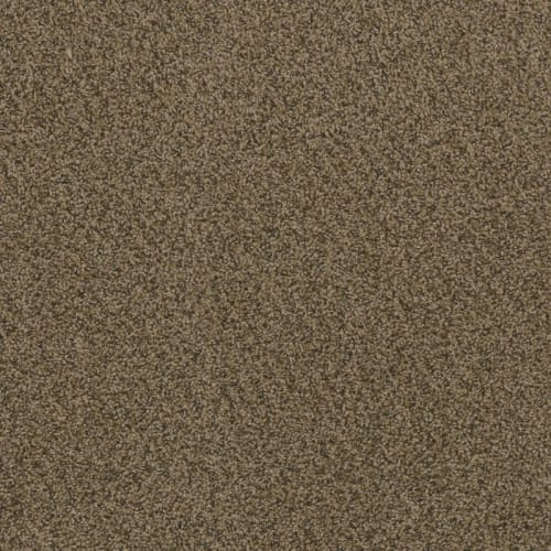Hot Pursuit in Fawn Carpet
