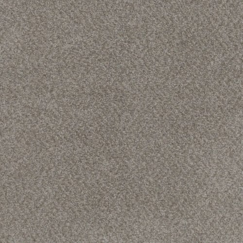 Beach Club II in Spanish Moss Carpet