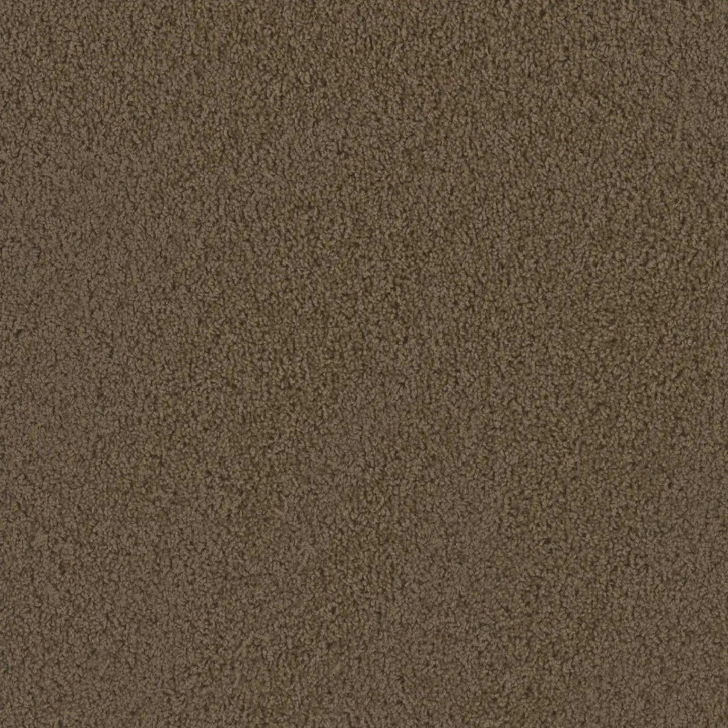 Tracker in Taupe Carpet