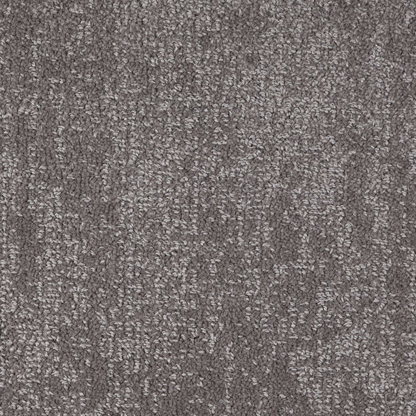 Noble in Early Evening Carpet