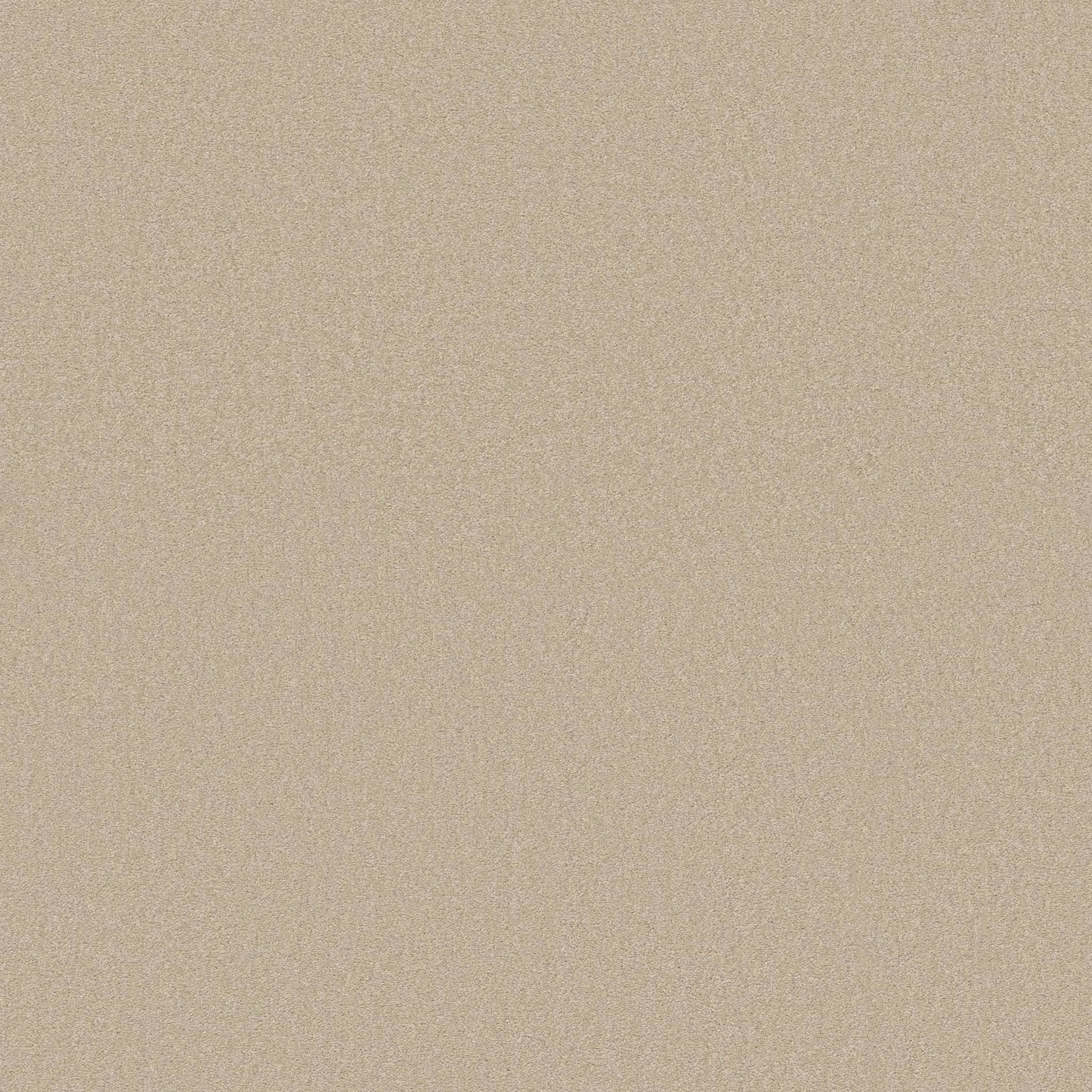 Dividing Line 12