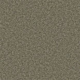 Dividing Line 12