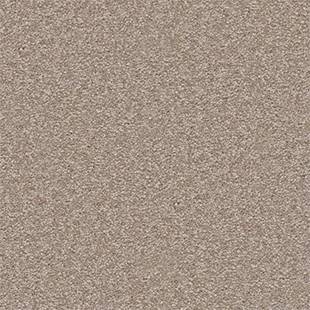 Dividing Line 12