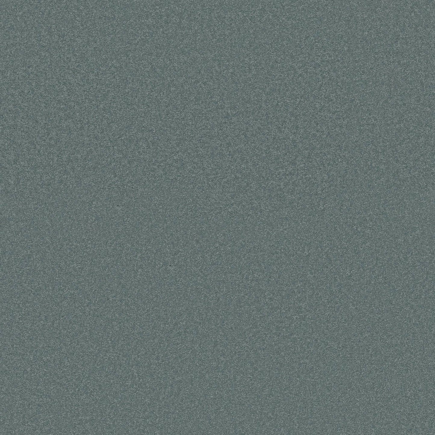 Dividing Line 12