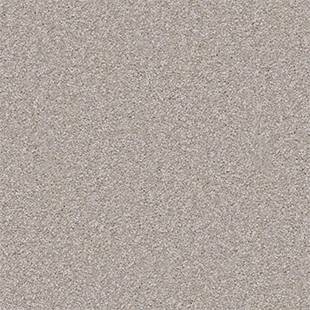 Dividing Line 12