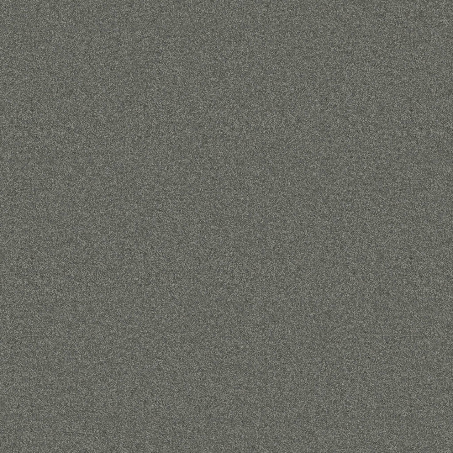 Dividing Line 12