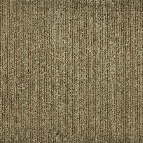 Grand Velvet in Pt98 Aqua/Brown Carpet