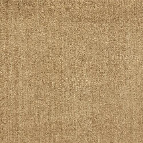Grand Velvet in Pt99 Beige Carpet
