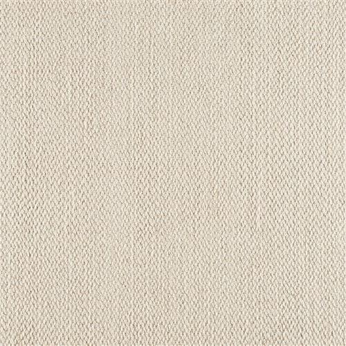 Splendor Stria