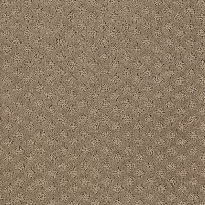 Mohawk Design Inspiration Carpet Flooring
