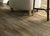 IMPACT PLUS in Modeled Oak Luxury Vinyl