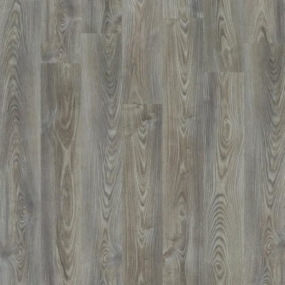 ANVIL PLUS in Grey Chestnut