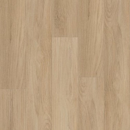 DISTINCTION PLUS in Golden Timber