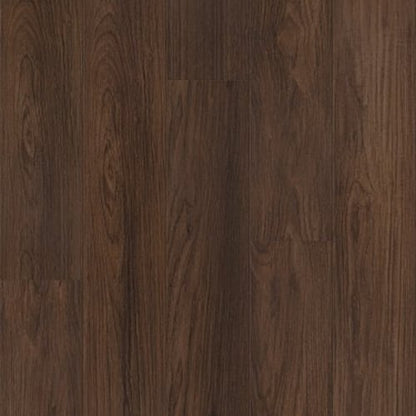 DISTINCTION PLUS in Burnt Umber
