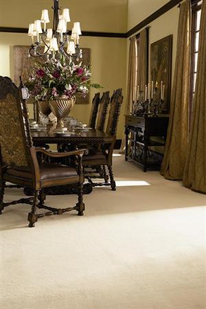 #sku_204CH-CH94