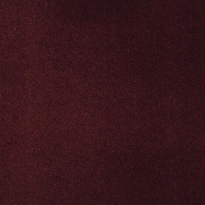 Dolce in Ruby Carpet