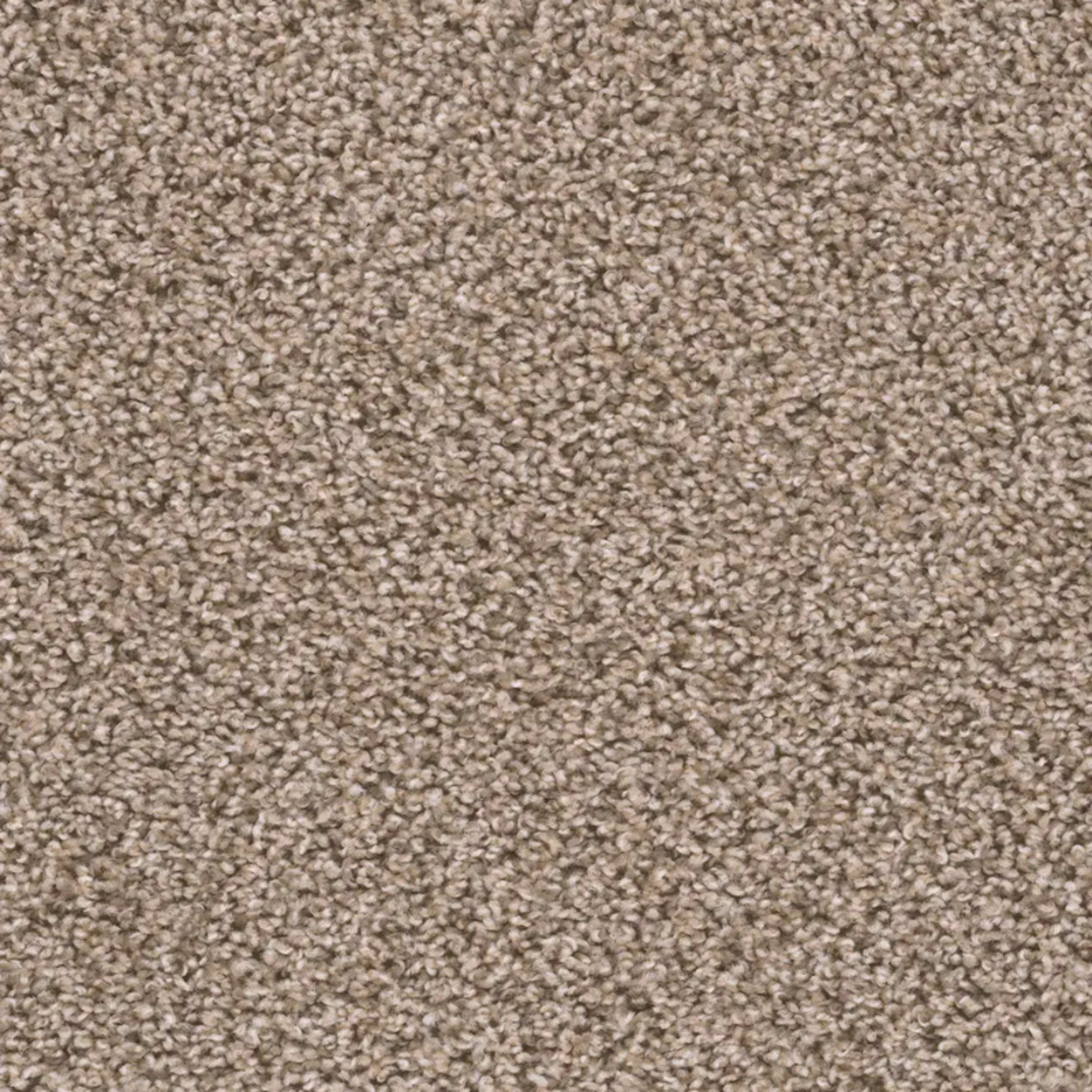 Sweepstakes in Claystone Carpet