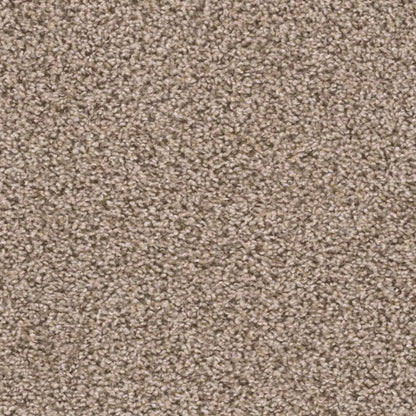 Sweepstakes in Claystone Carpet
