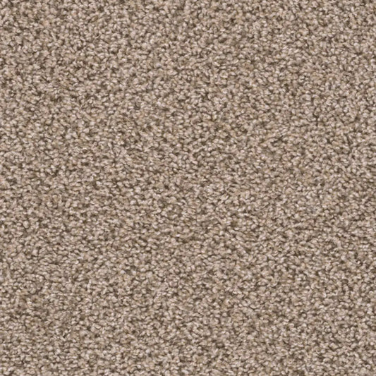 Sweepstakes in Claystone Carpet