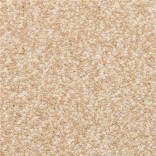 True Comfort in Portico Carpet