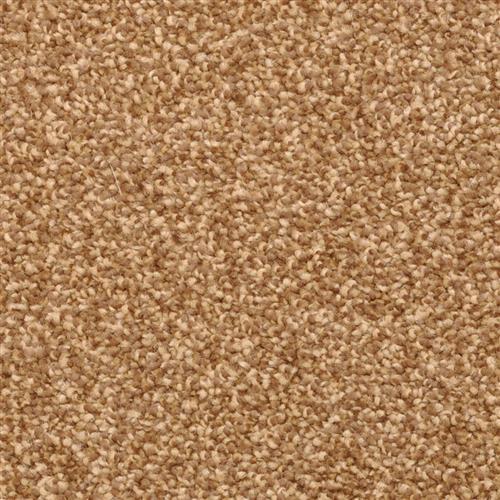 True Comfort 2309 in  25791 Yucatan Carpet Flooring by Dixie Home