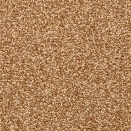 True Comfort 2309 in  25791 Yucatan Carpet Flooring by Dixie Home