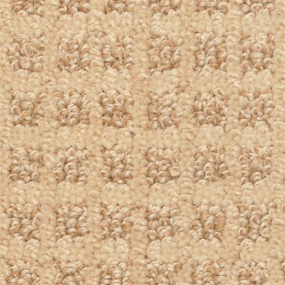 Rock Creek in Ginger Carpet