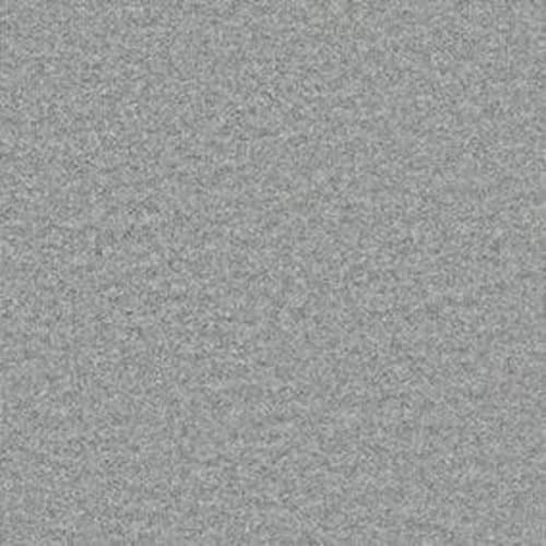 Metrowall II in Silver Fox Carpet