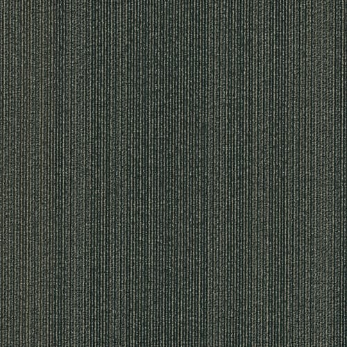 PRACTICAL in Systematic Carpet