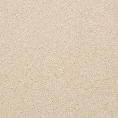 Alluring in Desert Pearl Carpet