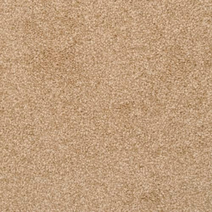 Alluring in Taffy Carpet