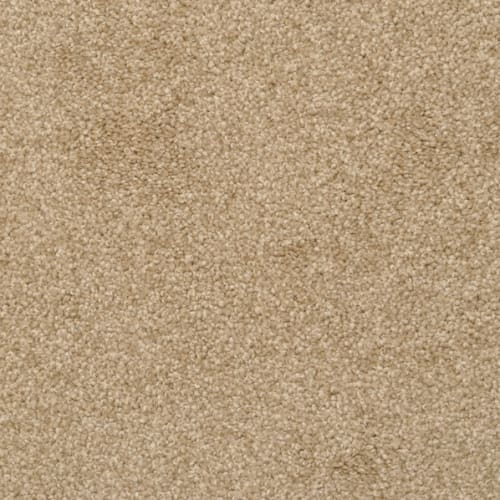 Alluring in Taffy Carpet