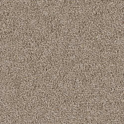East Hampton in Mushroom Carpet
