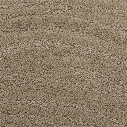 Taittinger in Ashley Taupe Carpet