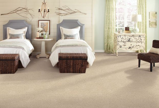 Treasure Valley in December Lace Carpet