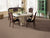 Simply Grey II in Starry Taupe Carpet
