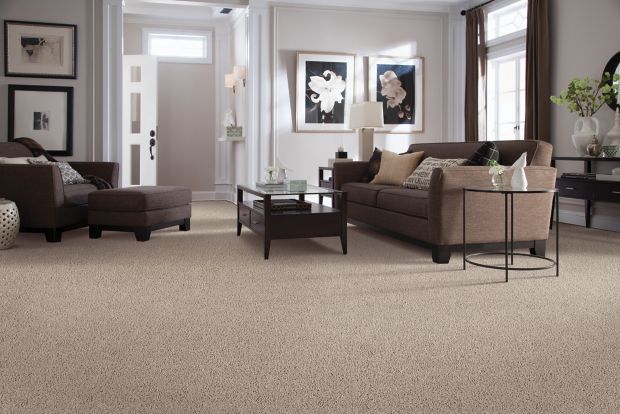 Natural Decoration in Foxfire Suede Carpet