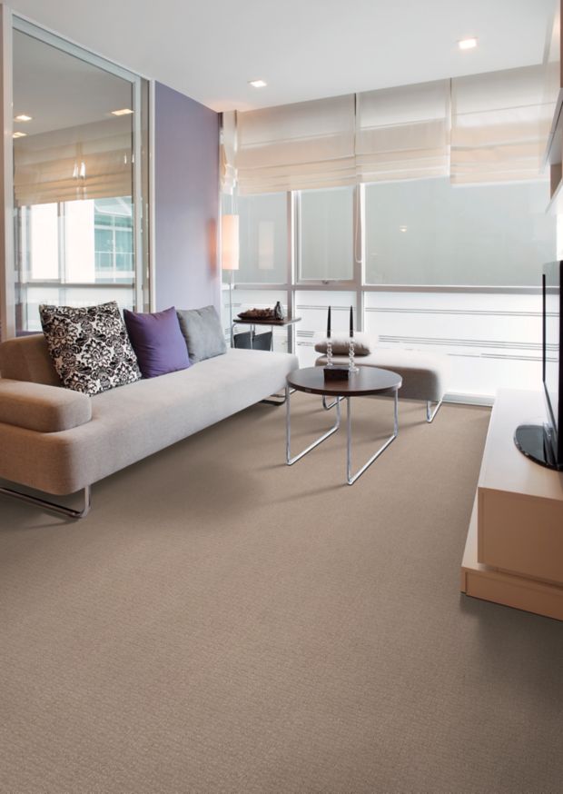 Flawless Vision in Gondola Carpet